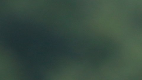 Lexi Thompson en acción en el U.S. Women's Open Championship,