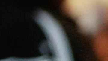 Se quieren controles más estrictos al sistema de visas de estudiantes internacionales