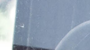 En un corto tiempo, el canino con el cuerpo sobrecalentado puede sufrir daños críticos en el cerebro, corazón, hígado, riñones y sistema nervioso