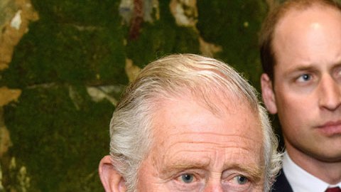 Los príncipes Enrique y Guillermo