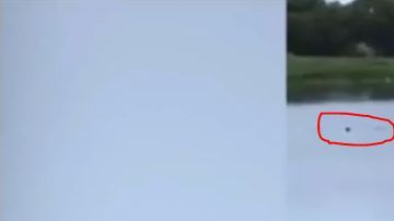 Hombre murió ahogado en Florida