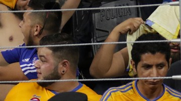 Un seguidor de Tigres UANL le provocó graves lesiones a otro aficionado.