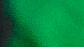 Alan Pulido podría quedar fuera de la Copa Oro.