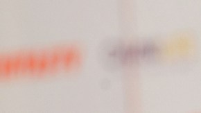 Matías Almeyda, técnico de las Chivas del Guadalajara