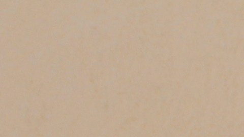 Durante el 2016 ICE deportó 2000 personas por supuestamente pertenecer a pandillas.