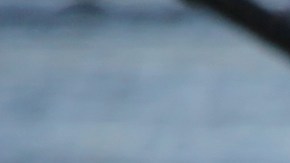 Kayakistas disfrutan navegando por las aguas del Río Los Ángeles. (Jorge Luis Macias, Especial para La Opinión)