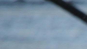 Kayakistas disfrutan navegando por las aguas del Río Los Ángeles. (Jorge Luis Macias, Especial para La Opinión)