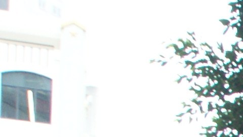 Activistas y ciudadanos defienden los derechos de los inmigrantes y piden alto a las redadas en el Área de la Bahía. (Fernando A. Torres / La Opinión de la Bahía)