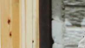 Jimmy Carter se desmayó construyendo casas en un proyecto de Habitat for Humanity en Canadá.