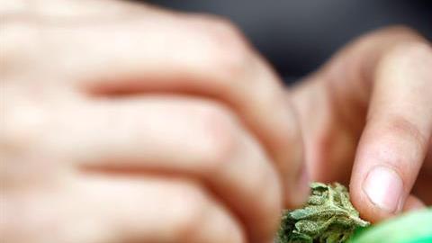 Uruguayos hacen largas colas para comprar marihuana en las farmacias