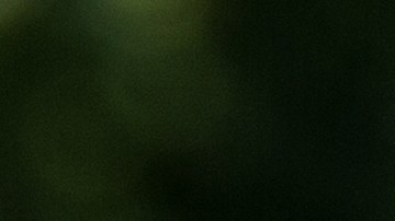 Las picaduras de las garrapatas de patas negras pueden transmitir la enfermedad de Lyme.