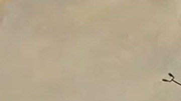 Vista aérea del amacén en Aliso Canyon.