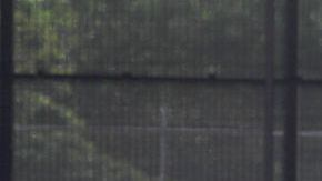 4 colombianos fueron asesinados en México.