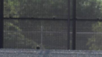 4 colombianos fueron asesinados en México.