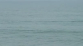 Decenas llegaron a la playa de Ecuador para dar una mano. EFE