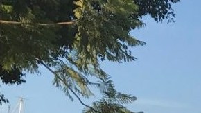 Unos 40 activistas se manifestaron en frente de la comisaría.