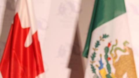 Ildefonso Guajardo