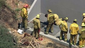 Bomberos en la boca del túnel.