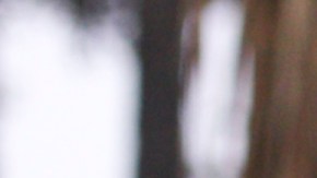 La asambleísta Wendy Carrillo se involucra en un incidente DUI. Cortesía Wendy Carrillo)