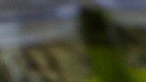 Generalmente, una octava de una onza de marihuana de buena calidad, suficiente para enrollar cinco o seis porrors, se vende por unos 35 dólares en tiendas legales en el área de Los Ángeles, pero solo los impuestos directos resultan en más de 12 dólares sobre ese precio.