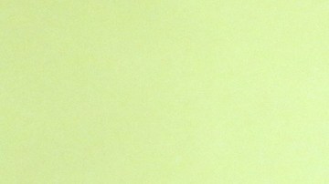 Manuel el 'Loco' Valdés