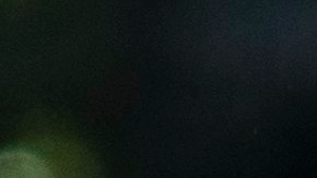 Los Trump no asistirán a los premios de las artes del Centro Kennedy.