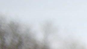 Activistas organizan protestas contra el racismo en EEUU.