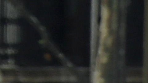 Un atentado terrorista sacudió este jueves a Barcelona, España