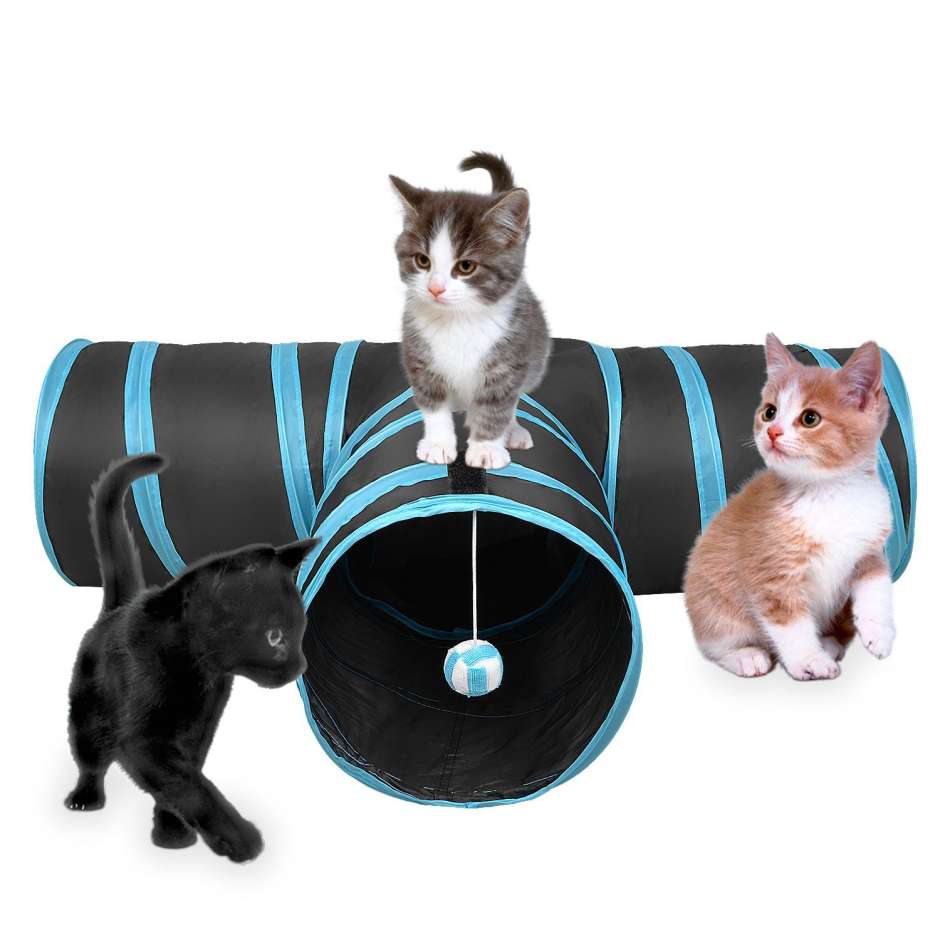 Túnel para gato
