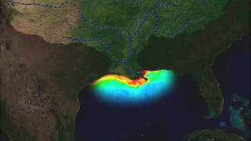 La "zona muerta" se halla en la desembocadura del Mississippi, cerca de Nueva Orleans.
