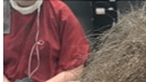 La tarea demoró cerca de diez horas