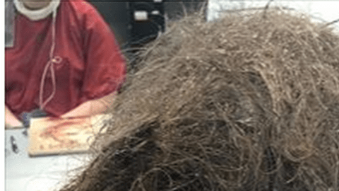 La tarea demoró cerca de diez horas