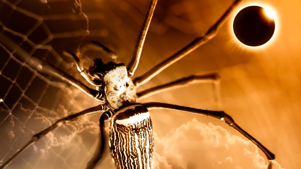 4 efectos que tendrá el eclipse solar sobre la Tierra