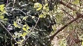 Desapariciones forzadas / Agencia Reforma