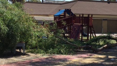 El incidente fue a la hora del recreo cuando los menores estaban jugando afuera. (@jeffnguyen)