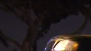 Vehículo abandonado por el sospechoso.