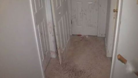 Sangre misteriosa en una casa
