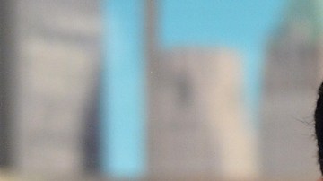 David Zepeda dice si posaría desnudo para una revista