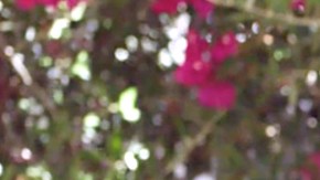 El actor mexicana revela la razón de porque no le gusta el aguacate