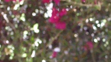 El actor mexicana revela la razón de porque no le gusta el aguacate