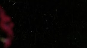 Leticia Calderón dio vida en la última versión de esta telenovela