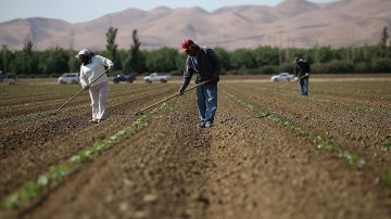 California's Central Valley Heavily Impacted By Severe Drought