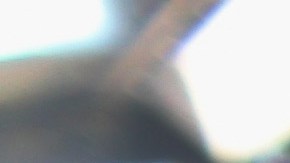 Los inmigrantes rescatados son de Salvador, Guatemala, Honduras y Honduras