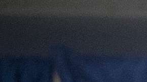 Arpaio apoyó públicamente la campaña del presidente Trump.