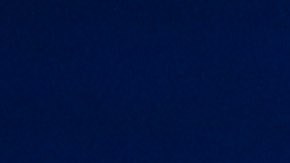 Dijo estar dispuesto a paralizar el gobierno si no se aprueba el muro fronterizo