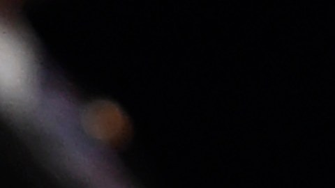 El presidente Trump equiparó a los anti-racistas con los neonazis