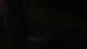 Trump ganó el estado de Arizona, que ofrece 11 votos electorales.