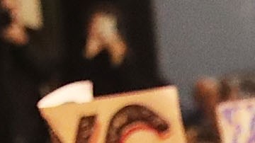 El gobierno asegura que la petición es completamente constitucional