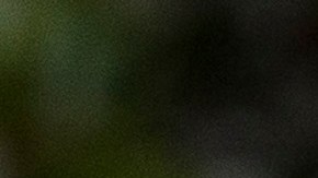 El congresista republicano Trent Franks renuncia por las denuncias de acoso sexual en su contra