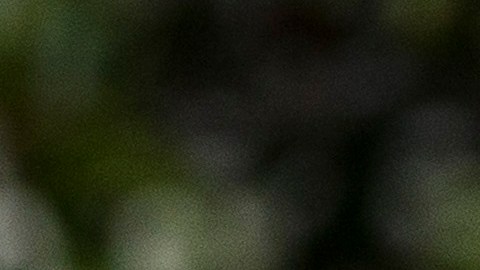 El congresista republicano Trent Franks renuncia por las denuncias de acoso sexual en su contra